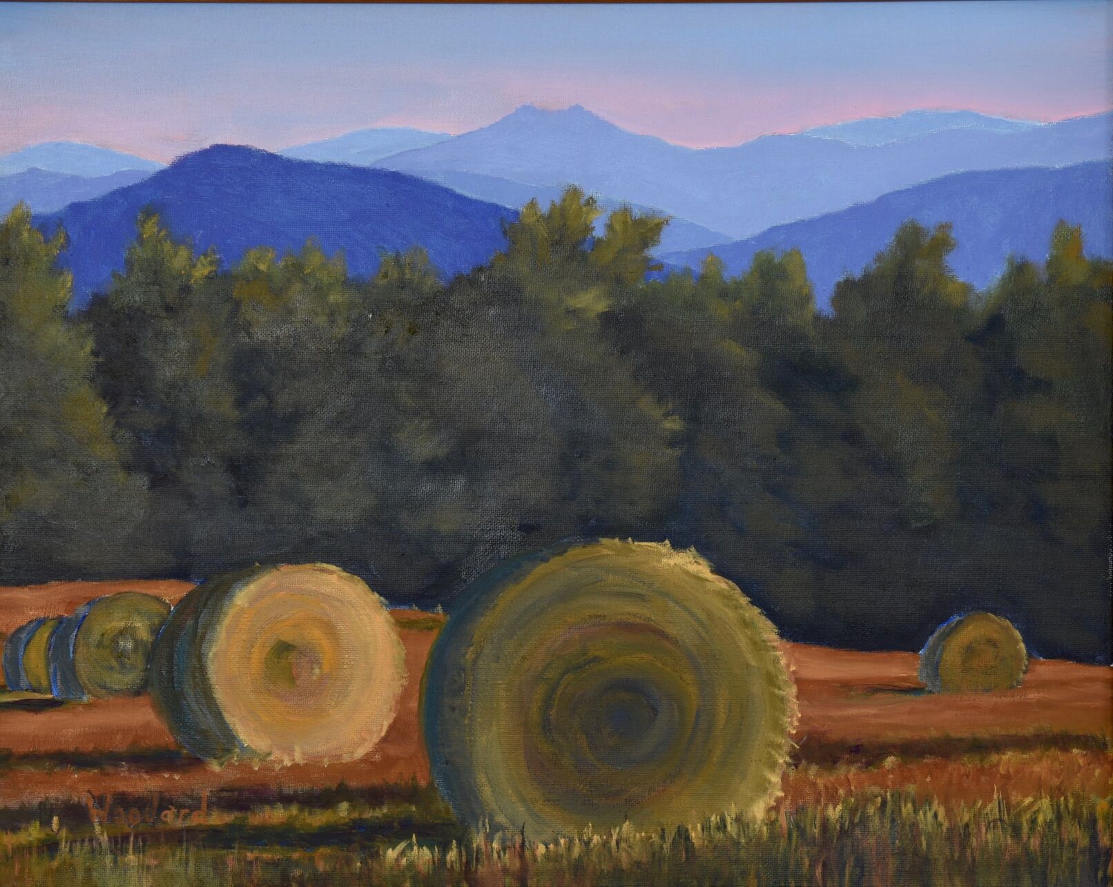 Martin Woodard